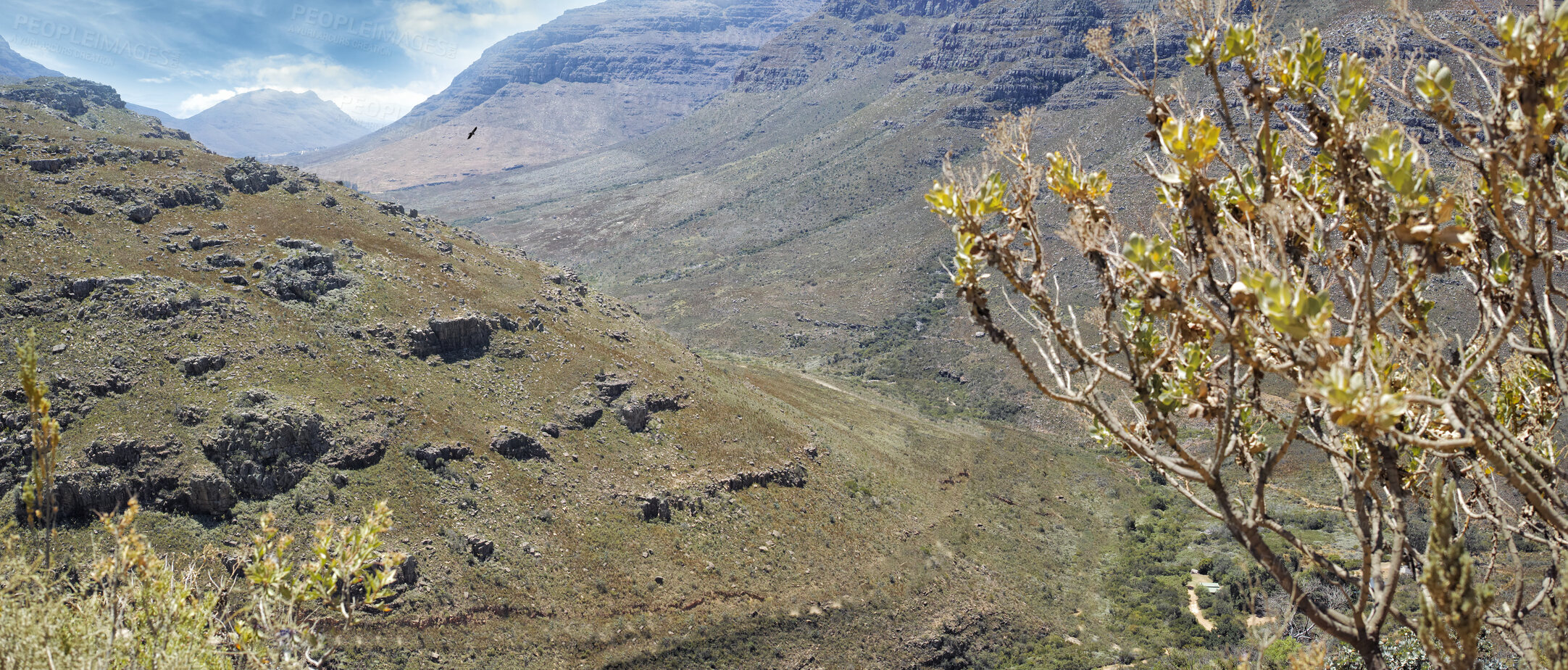 Buy stock photo Closeup of trees and plants growing on a mountain in the countryside during summer. Scenic landscape and panoramic view of a secluded and quiet natural environment with hills and boulders in nature