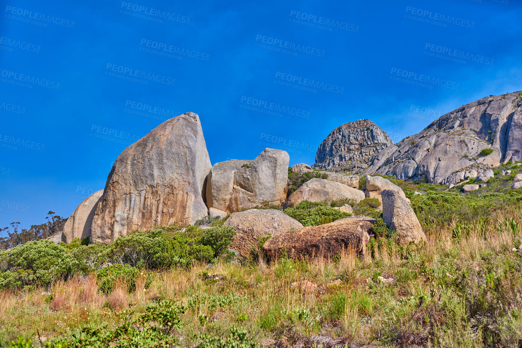 Buy stock photo Copy space on a rocky mountain with plants and shrubs growing against a clear sky background. Rugged, remote and quiet landscape with boulders and stones on a cliff to explore during a scenic hike