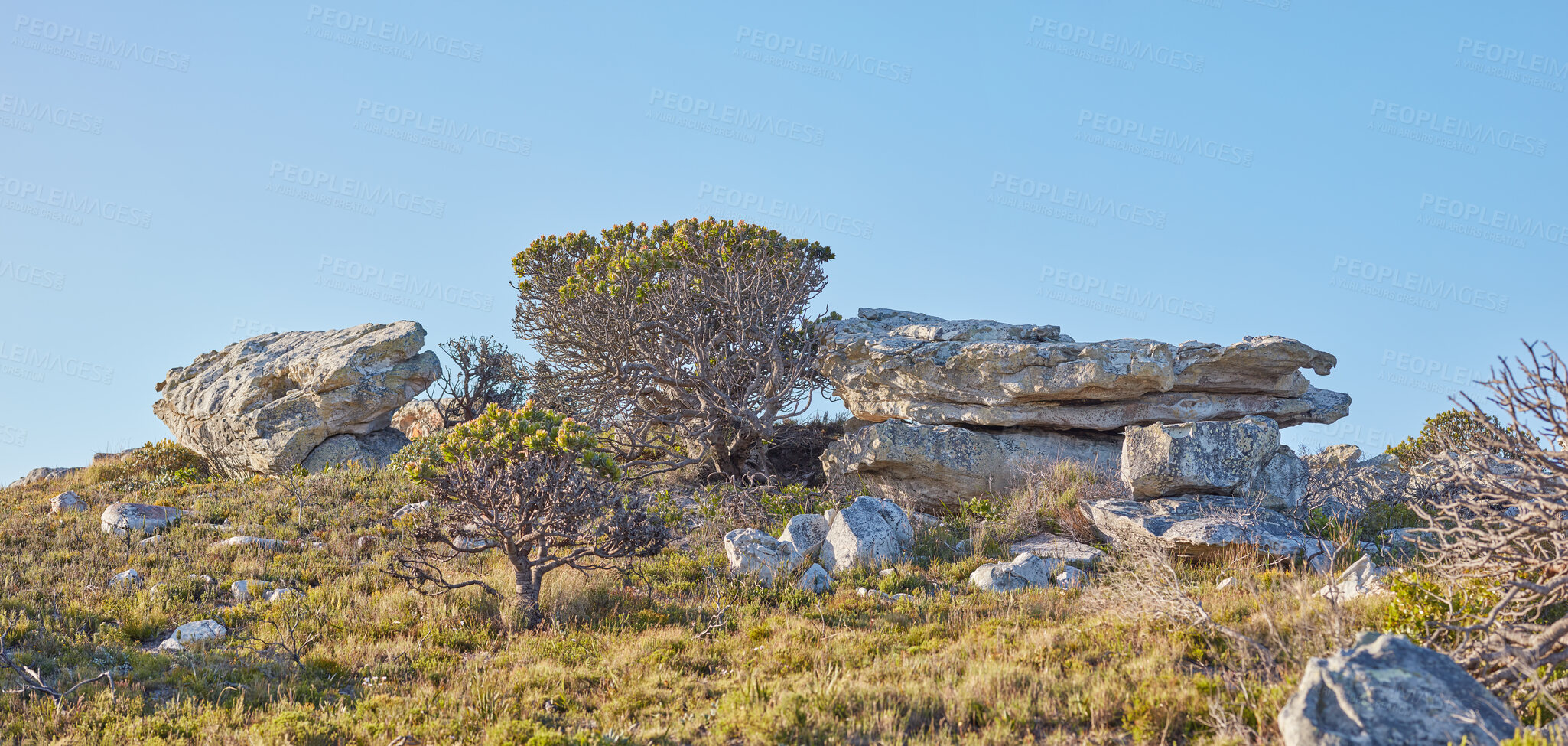 Buy stock photo Natural landscape view of boulders and wilderness in nature. Rocky, grassy terrain on a peak of a mountain surrounded by a clear big blue sky on a sunny day. Trees, rocks and grass in the outdoors.