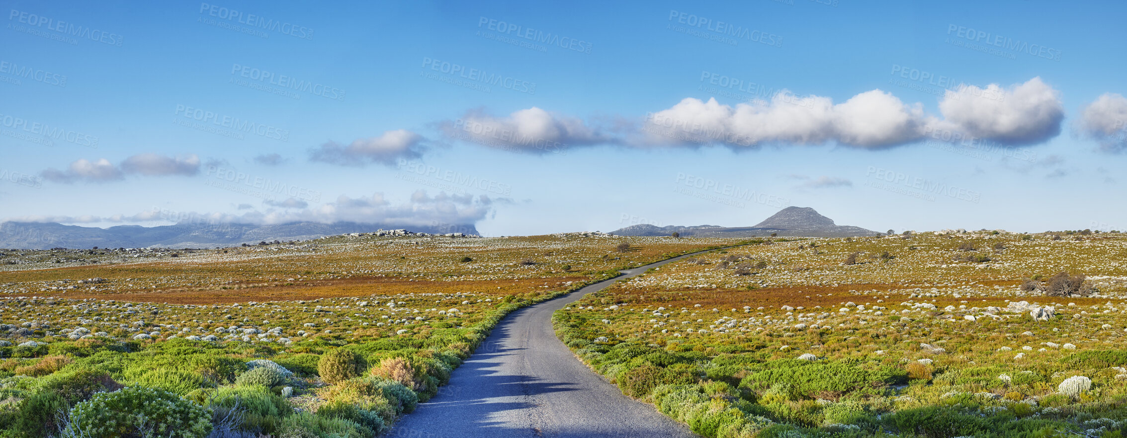 Buy stock photo Road through the wilderness of Cape Point National Park, Western Cape, South Africa