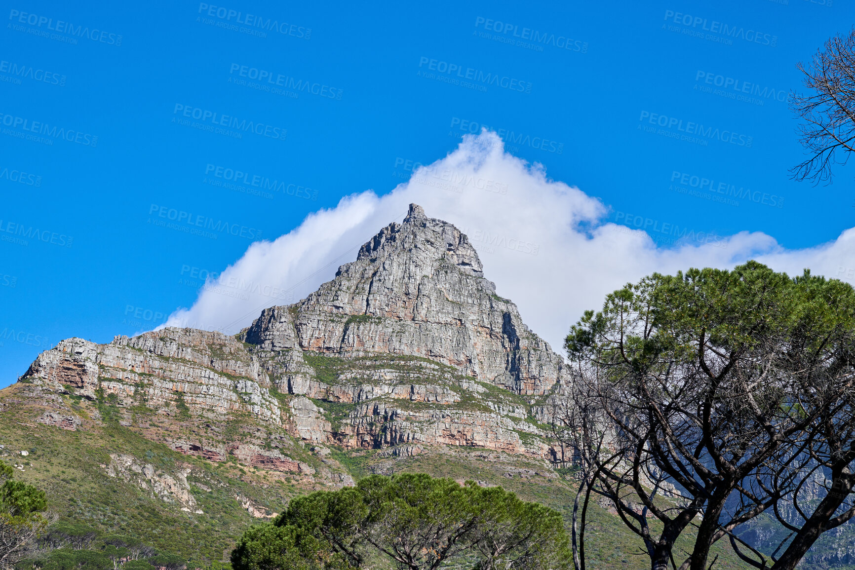 Buy stock photo Landscape view, mountains and blue sky of Table Mountain with copy space, clouds and trees in an environmental nature reserve. Scenery of famous landmark and remote hiking countryside in South Africa