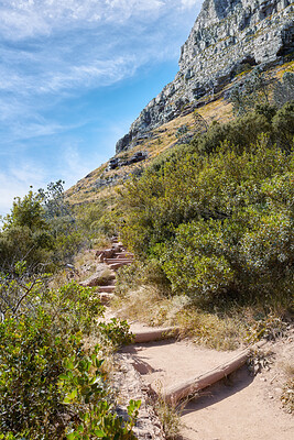 Buy stock photo Mountain trails on Lion's Head, Table Mountain National Park, Cape Town, South Africa