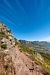 Mountain trails - Lion's Head and Table Mountaion