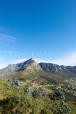 Buy stock photo Landscape view of mountains background from a lush, green botanical garden and national park. Table Mountain in Cape Town, South Africa with blue sky and copy space while discovering peace in nature