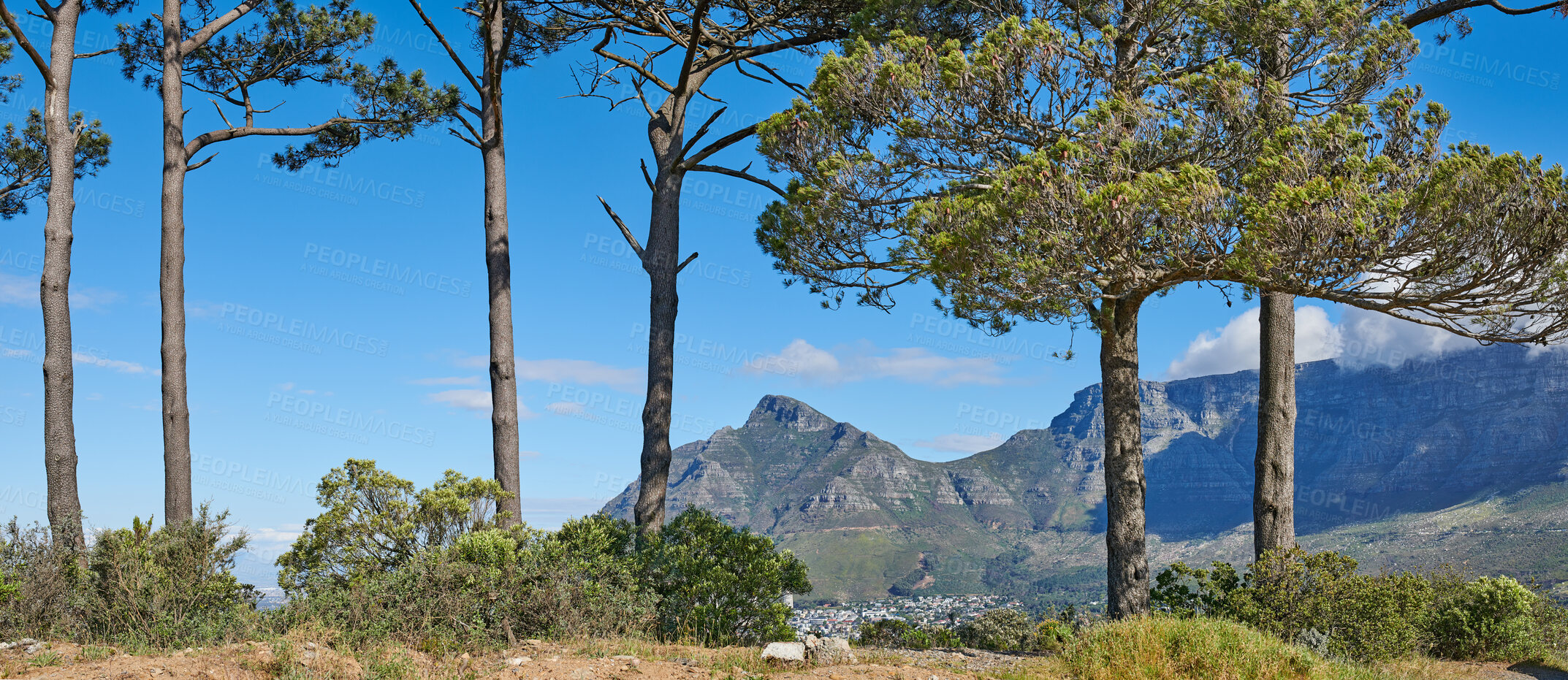 Buy stock photo Beautiful landscape view of a mountain in nature. Natural green trees, bushes and oak overlooking rocky cliffs on a hill. Background of big blue sky, dry grassy terrain in the great outdoors.