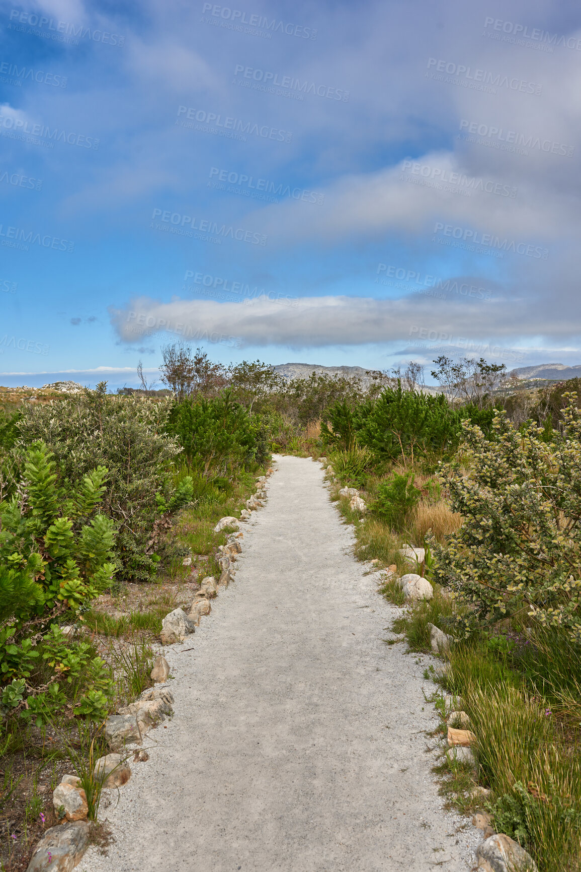 Buy stock photo Isolated hiking trail in a natural landscape perfect for walking outside. Beautiful nature view with green grass, plants, and a blue sky background. Relaxing day outdoors in summer near a mountain.