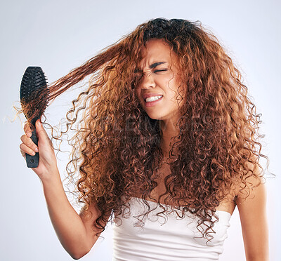 Buy stock photo Cropped shot of an attractive young woman struggling with knotted hair in studio against a grey background