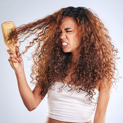 Buy stock photo Cropped shot of an attractive young woman struggling with knotted hair in studio against a grey background