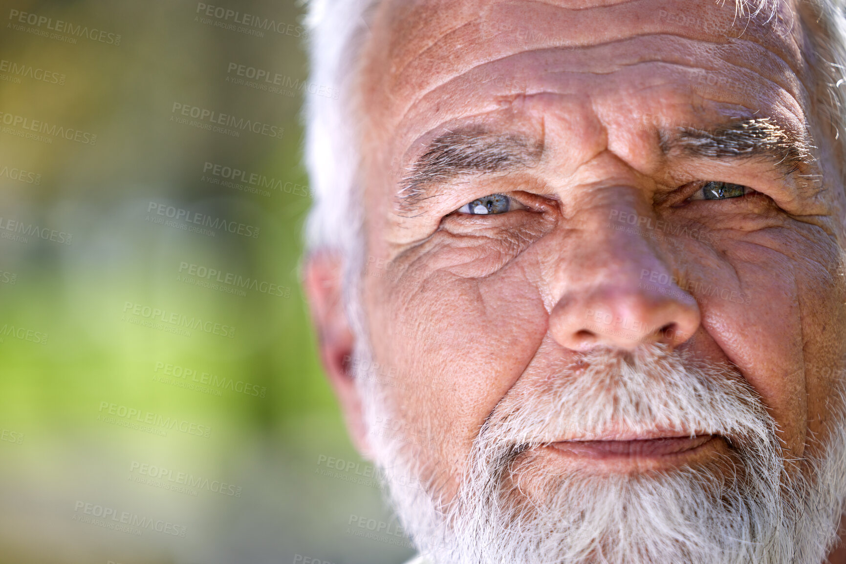 Buy stock photo Shot of a senior man looking into the camera during a day in the park
