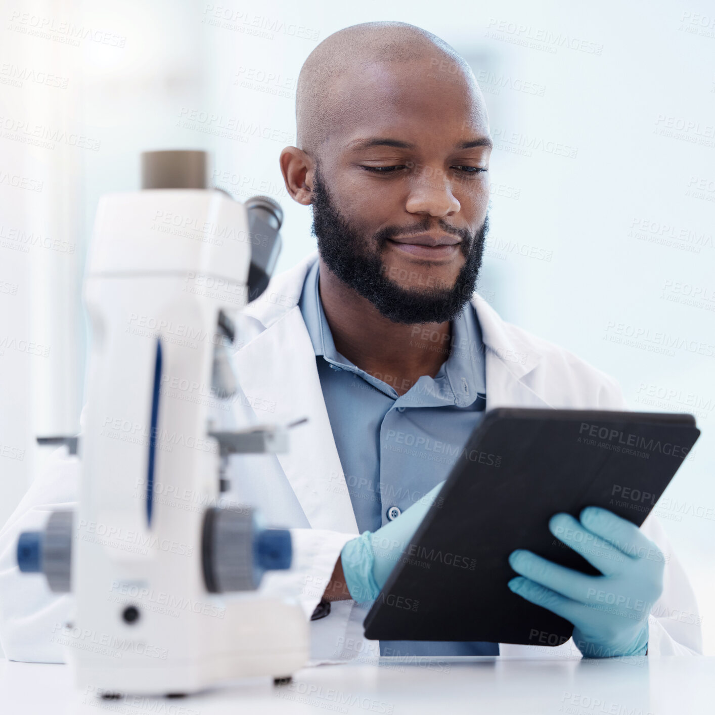 Buy stock photo Black man, scientist and tablet in laboratory for research, innovation or healthcare with gloves for hygiene. Male person, studying or planning in lab for medical diagnosis, test or experiment 