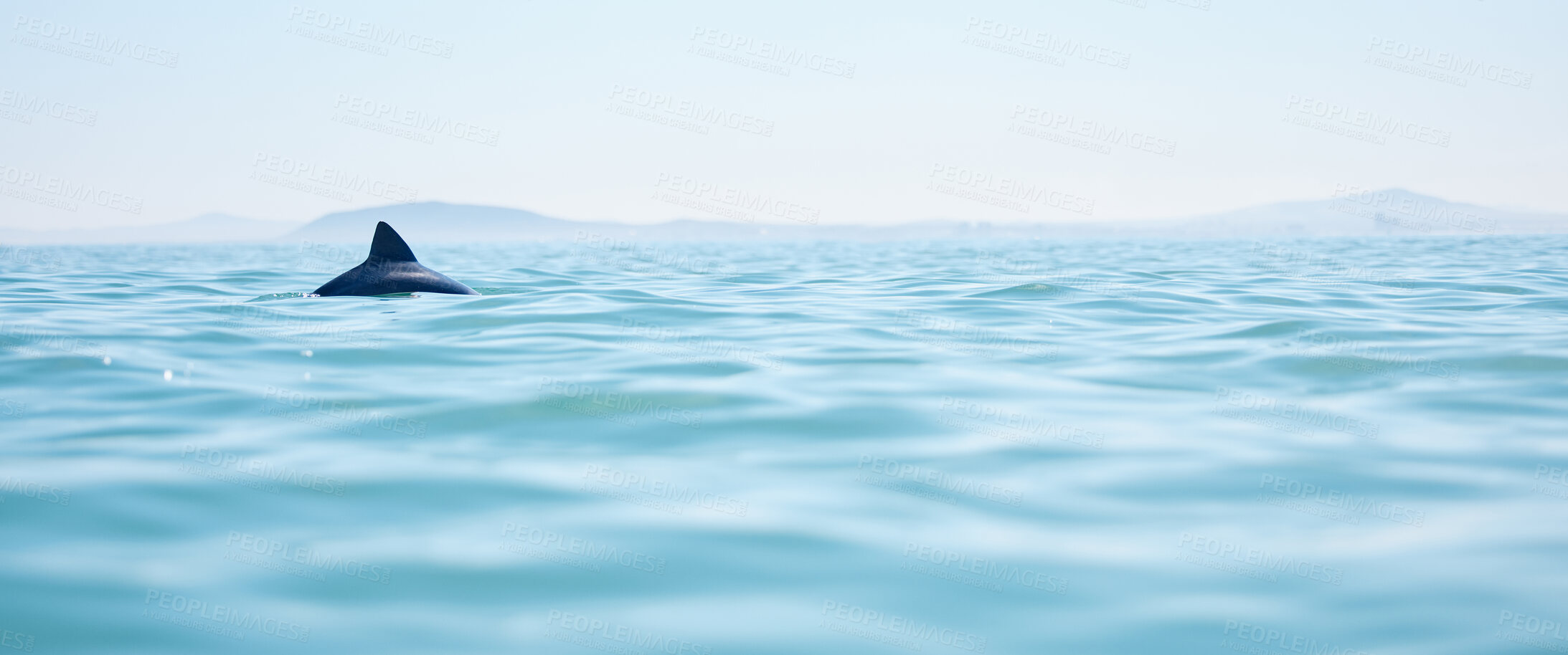 Buy stock photo Blue sky, ocean and dolphin underwater for swimming, freedom and natural marine mammal in sea. Tropical island, animal and panoramic view in Indonesia with waves, mountain and playful bottlenose
