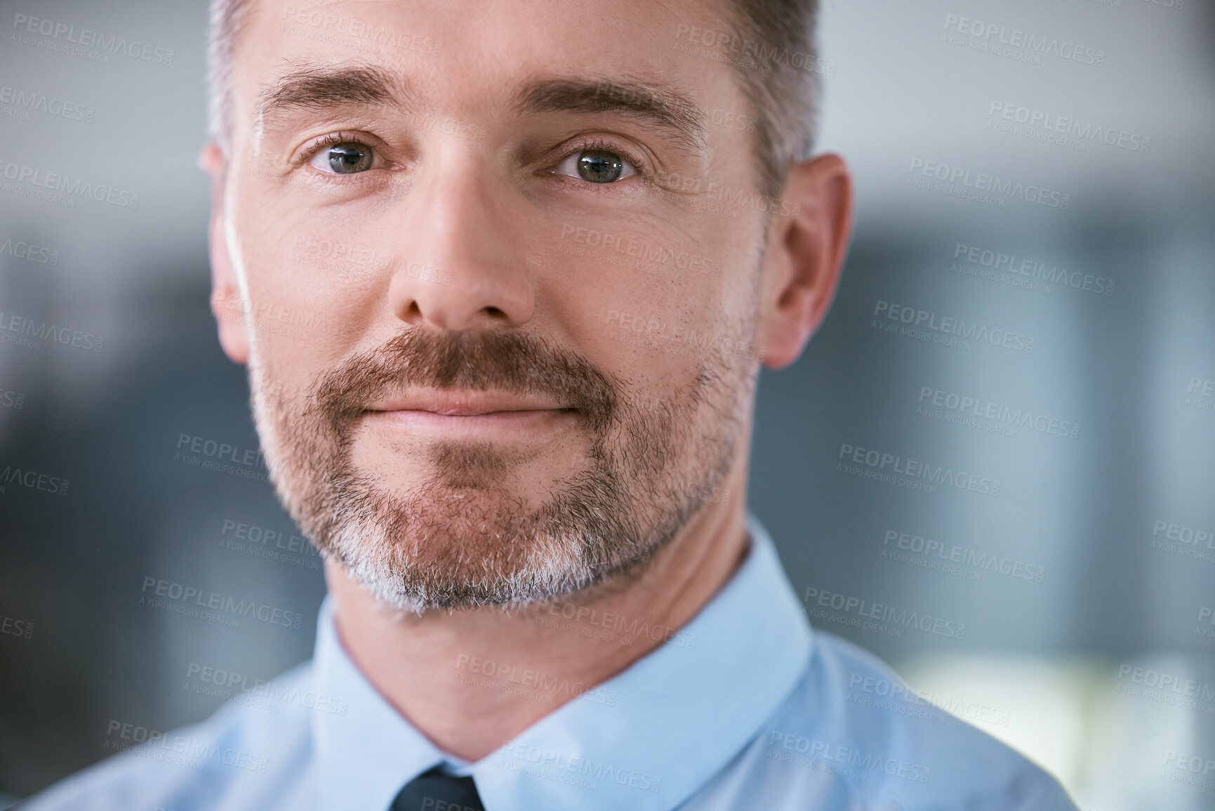 Buy stock photo Portrait of a mature businessman working in an office