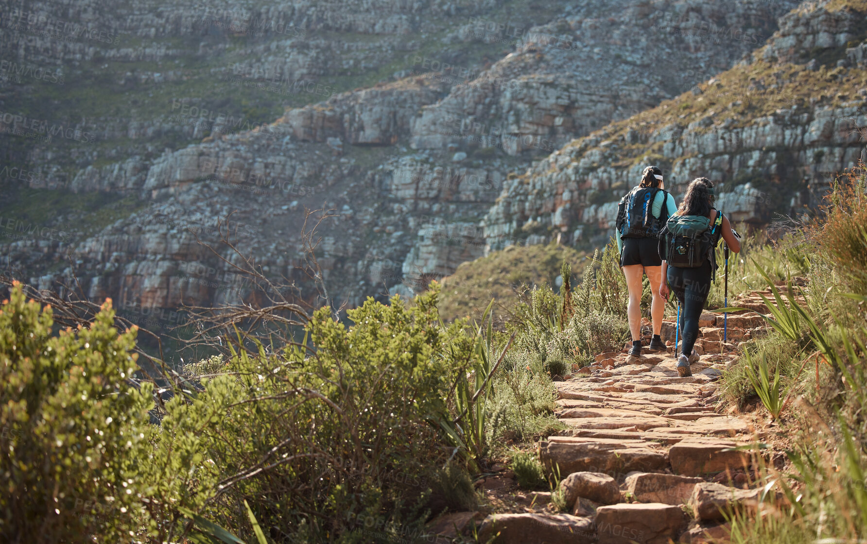 Buy stock photo Hiking, walking and back of women on mountain in morning for adventure, trekking and workout. Travel, fitness and friends outdoors for wellness, health and exercise on holiday, explore or vacation