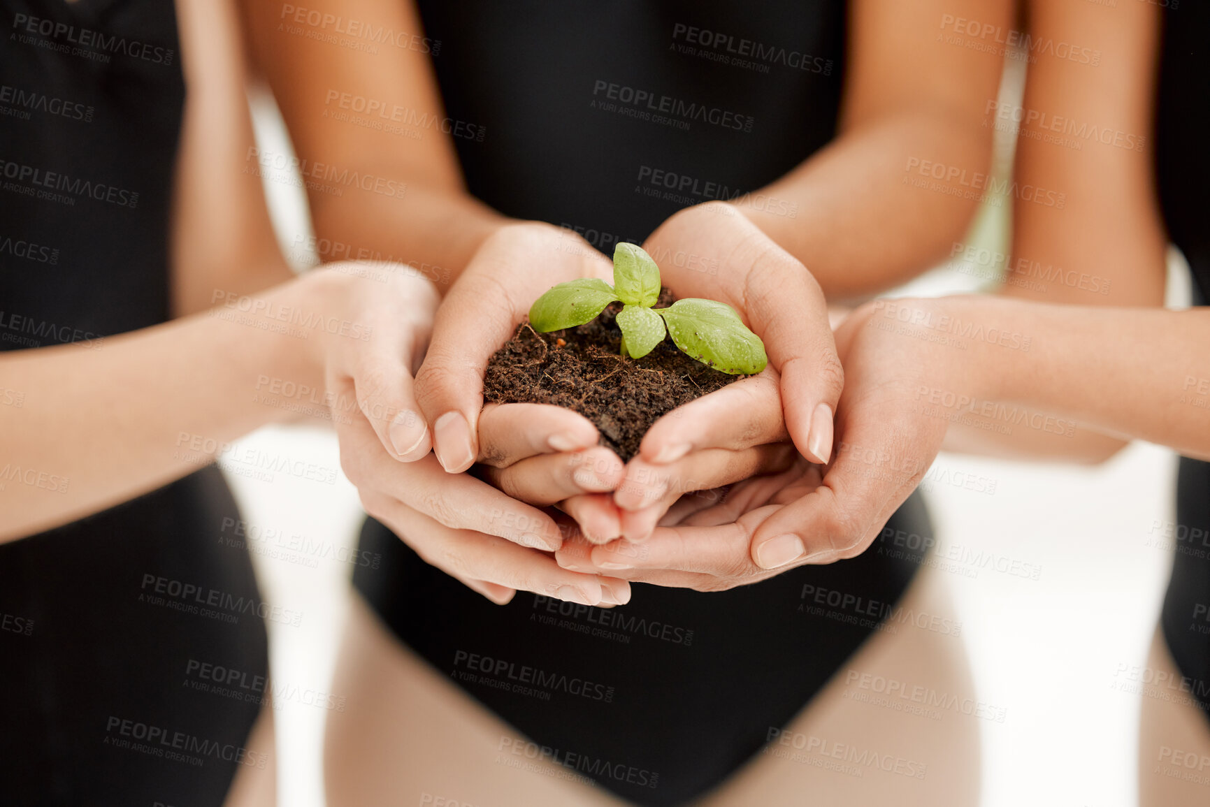 Buy stock photo Shot of a group of unrecognizable ballet dancers holding a plant growing out of soil