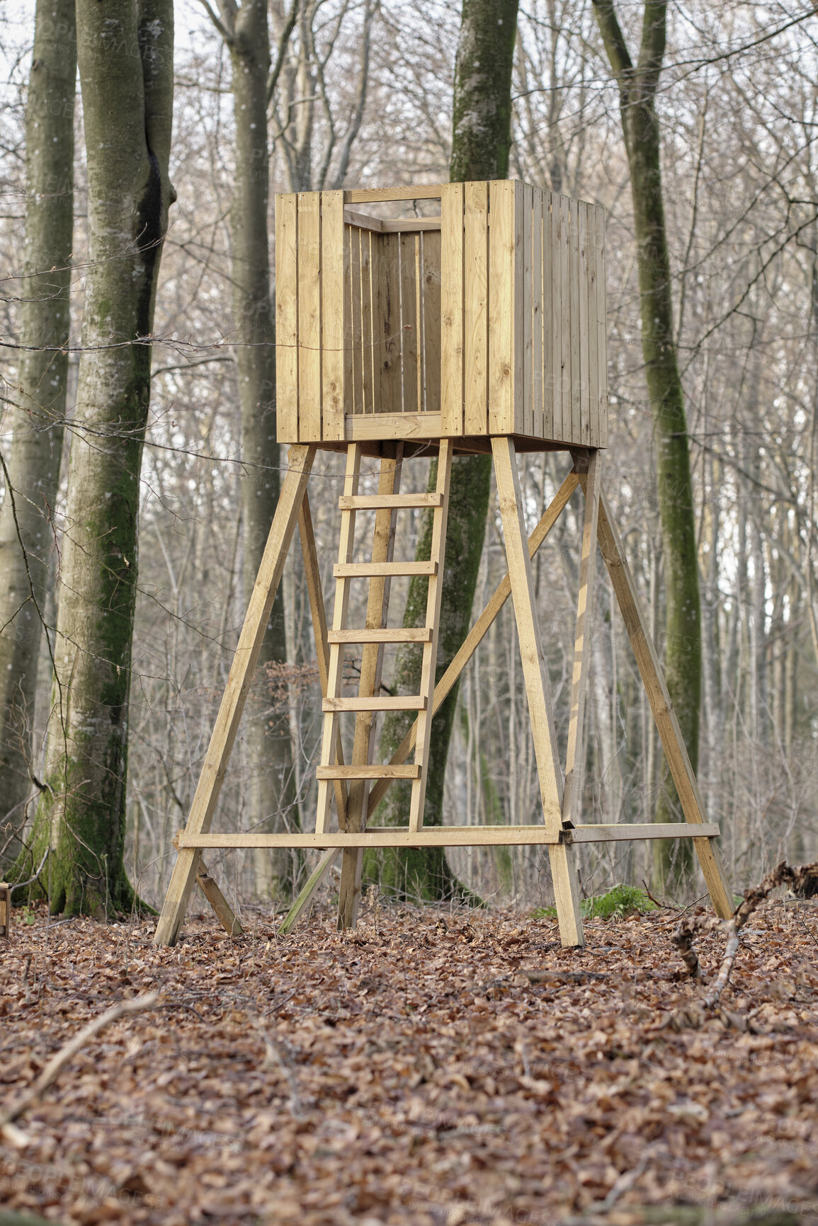 Buy stock photo Hunting tower, wooden treehouse and observation structure in a forest or remote countryside woods. Timber wood lookout built for watching wildlife, birds and wild animals in quiet and peaceful nature