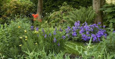 Buy stock photo A series of beautiful garden photos