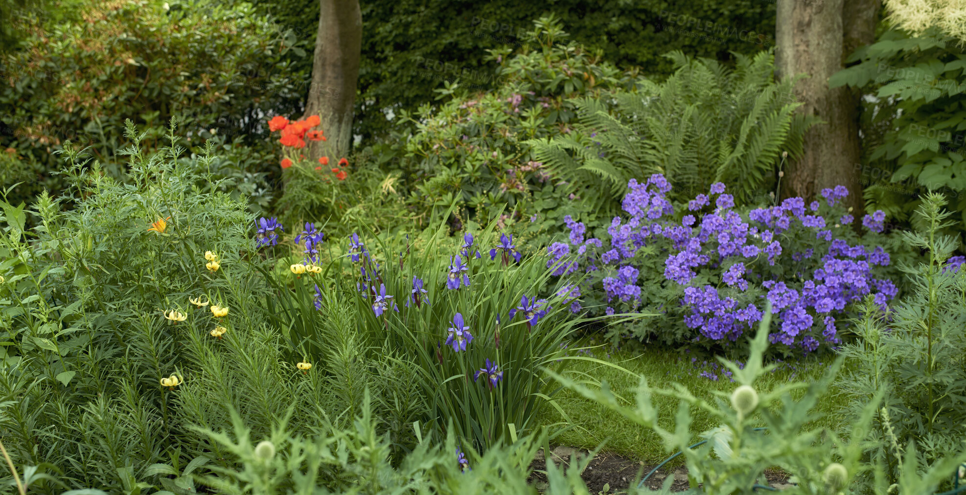 Buy stock photo A series of beautiful garden photos