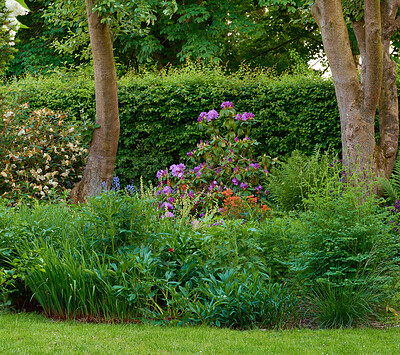 Buy stock photo A series of beautiful garden photos