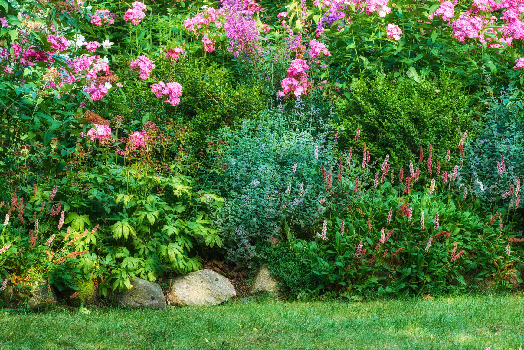 Buy stock photo A series of beautiful garden photos