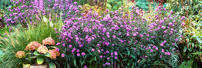 Buy stock photo A series of beautiful garden photos