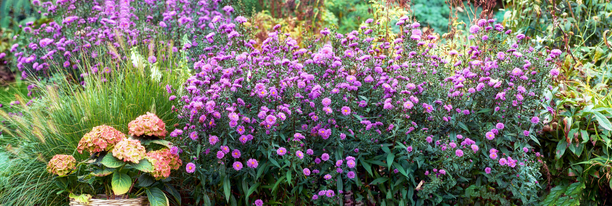 Buy stock photo A series of beautiful garden photos