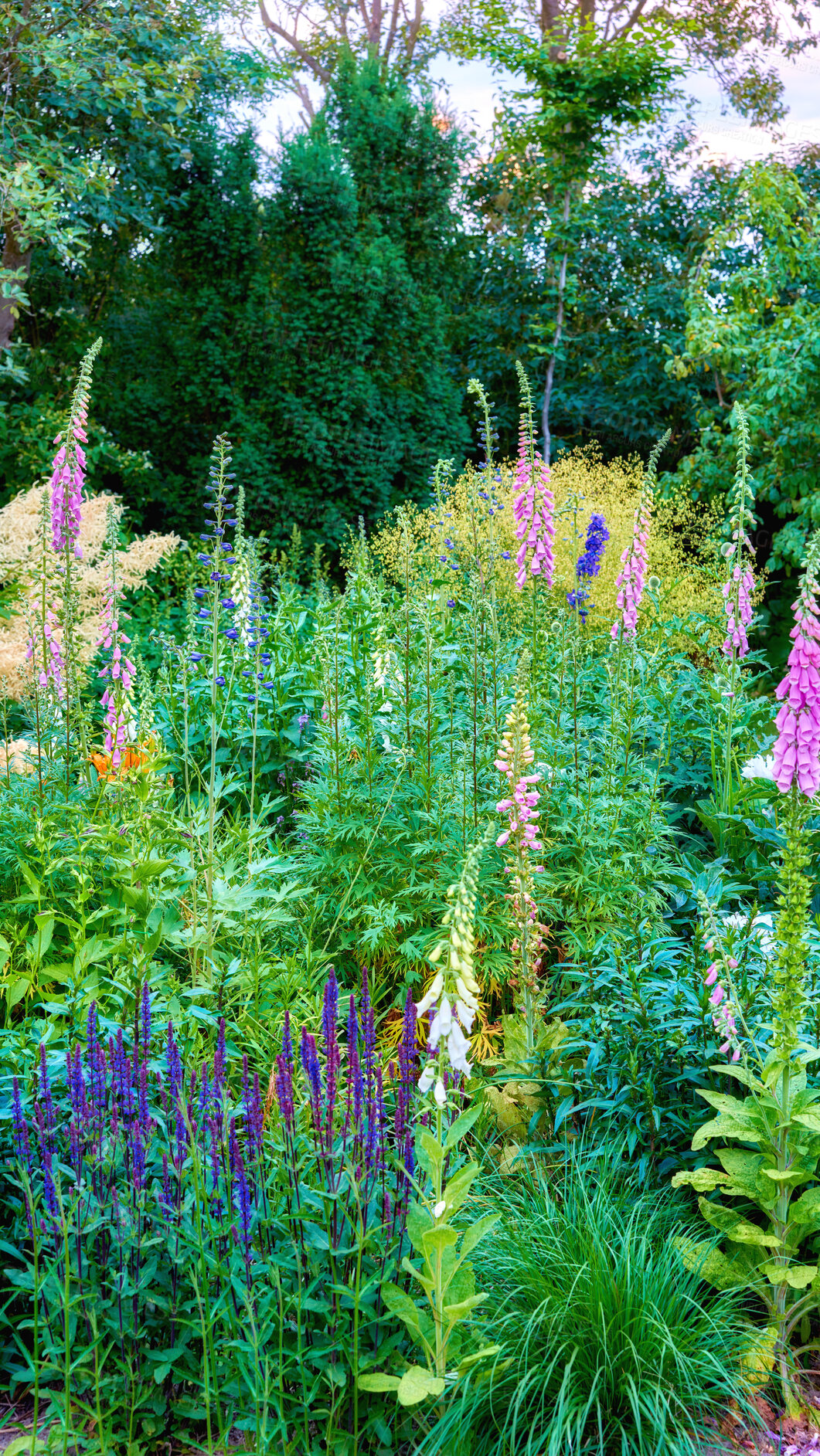 Buy stock photo A series of beautiful garden photos