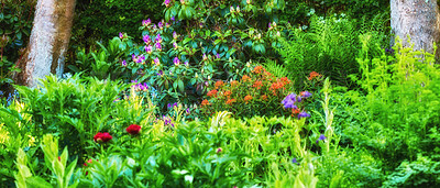 Buy stock photo A series of beautiful garden photos