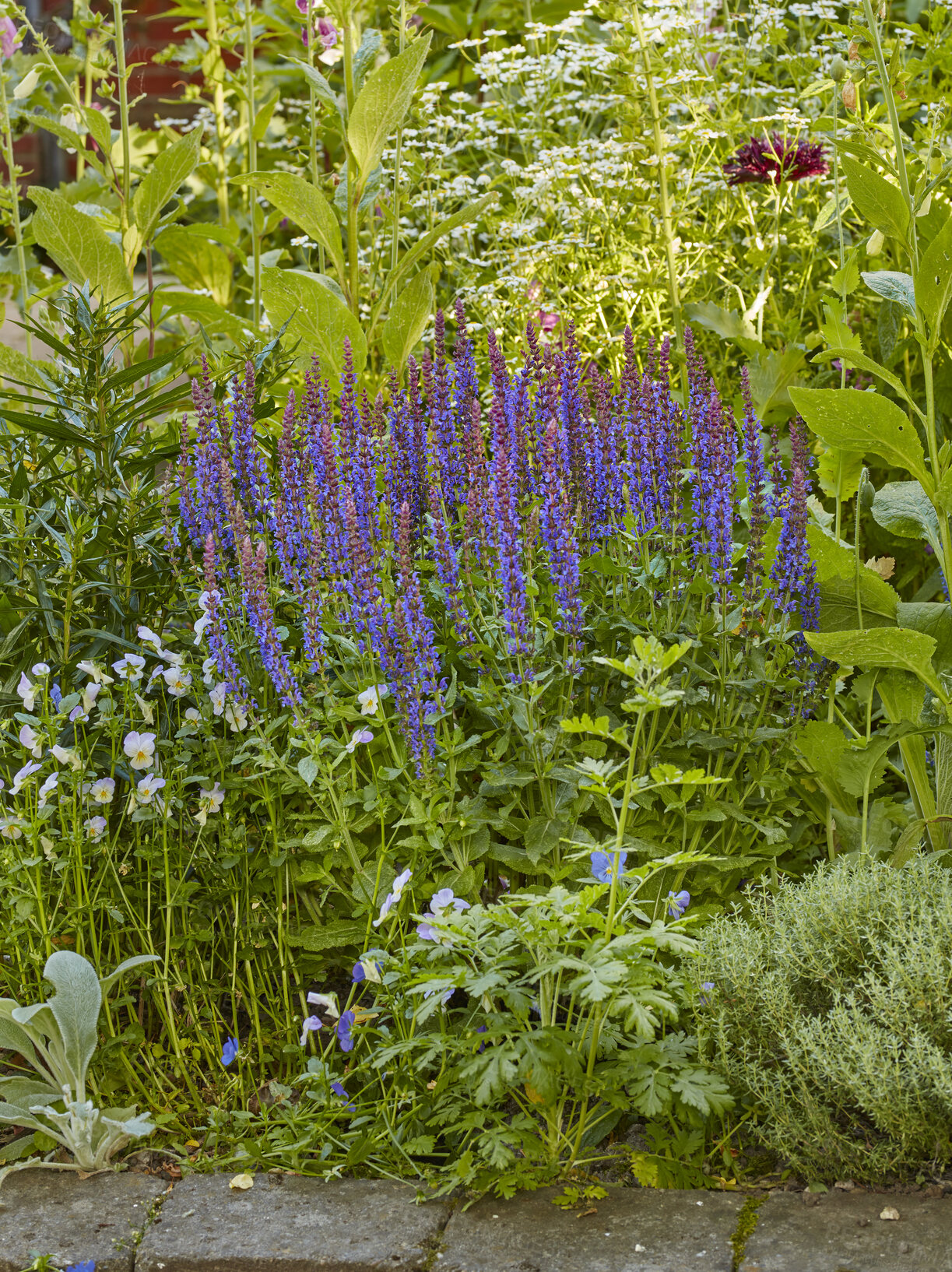 Buy stock photo A photo of the garden in summertime