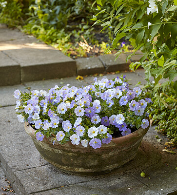 Buy stock photo A series of beautiful garden photos