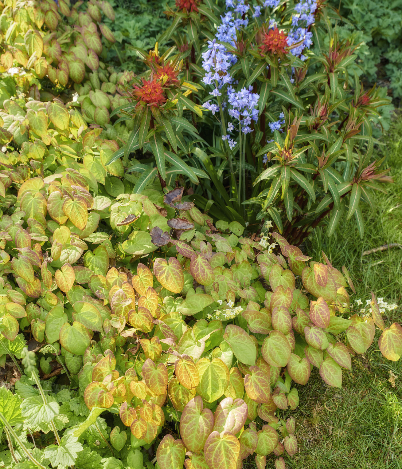 Buy stock photo A series of beautiful garden photos