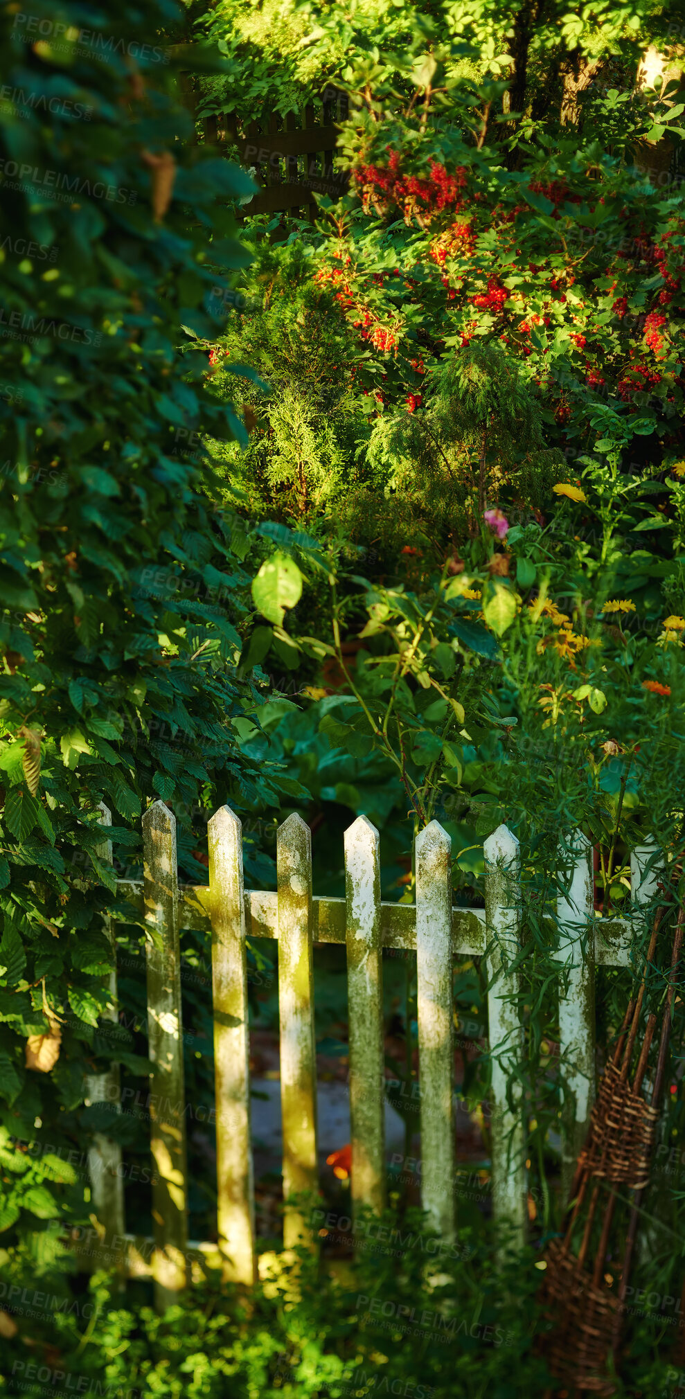 Buy stock photo A series of beautiful garden photos