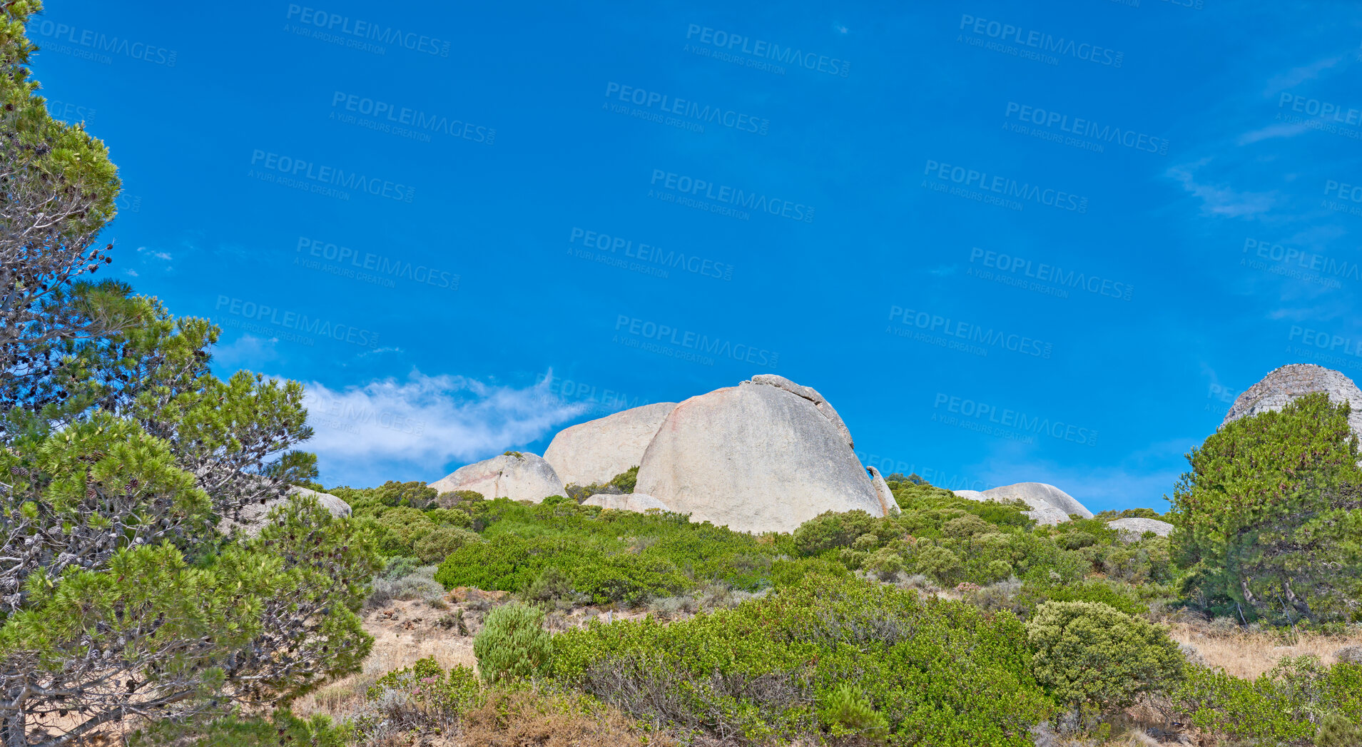 Buy stock photo Large rocks with trees and shrubs growing on a hill. Landscape of wild nature of South Africa's ecosystem with green plants on a mountain in summer against a blue sky background with copy space