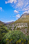 Mountain wilderness - Western Cape