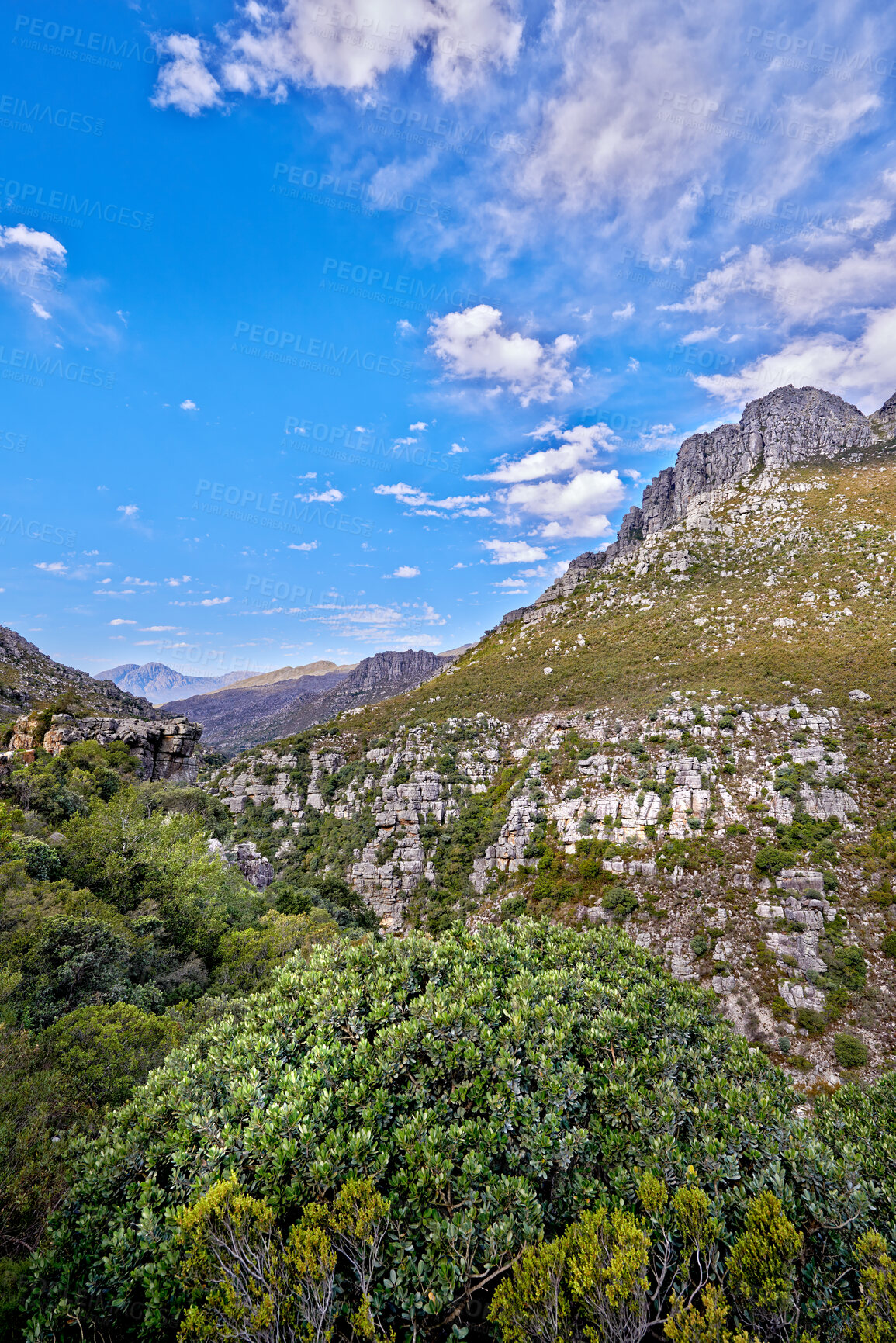 Buy stock photo Copy space with mountain landscape against a cloudy blue sky background in Cape Town. Beautiful and calm scenic of lush green plants and trees around a majestic rocky valley on a sunny day in nature