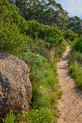 Buy stock photo Closeup of a dirt footpath along the mountainside of Lion's Head, Western Cape, Cape Town, South Africa. The perfect trial for hiking and walking surrounded by nature. A scenic hobby