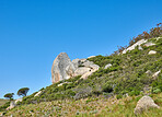 Table Mountain and surroundings  