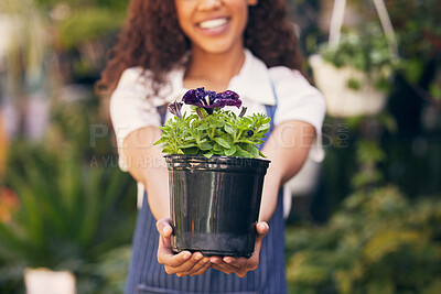 Buy stock photo Florist, hands and flower pot for market, small business owner and garden with career happiness, offer or sale. Happy entrepreneur, seller or person giving plants in shop or store for eco startup