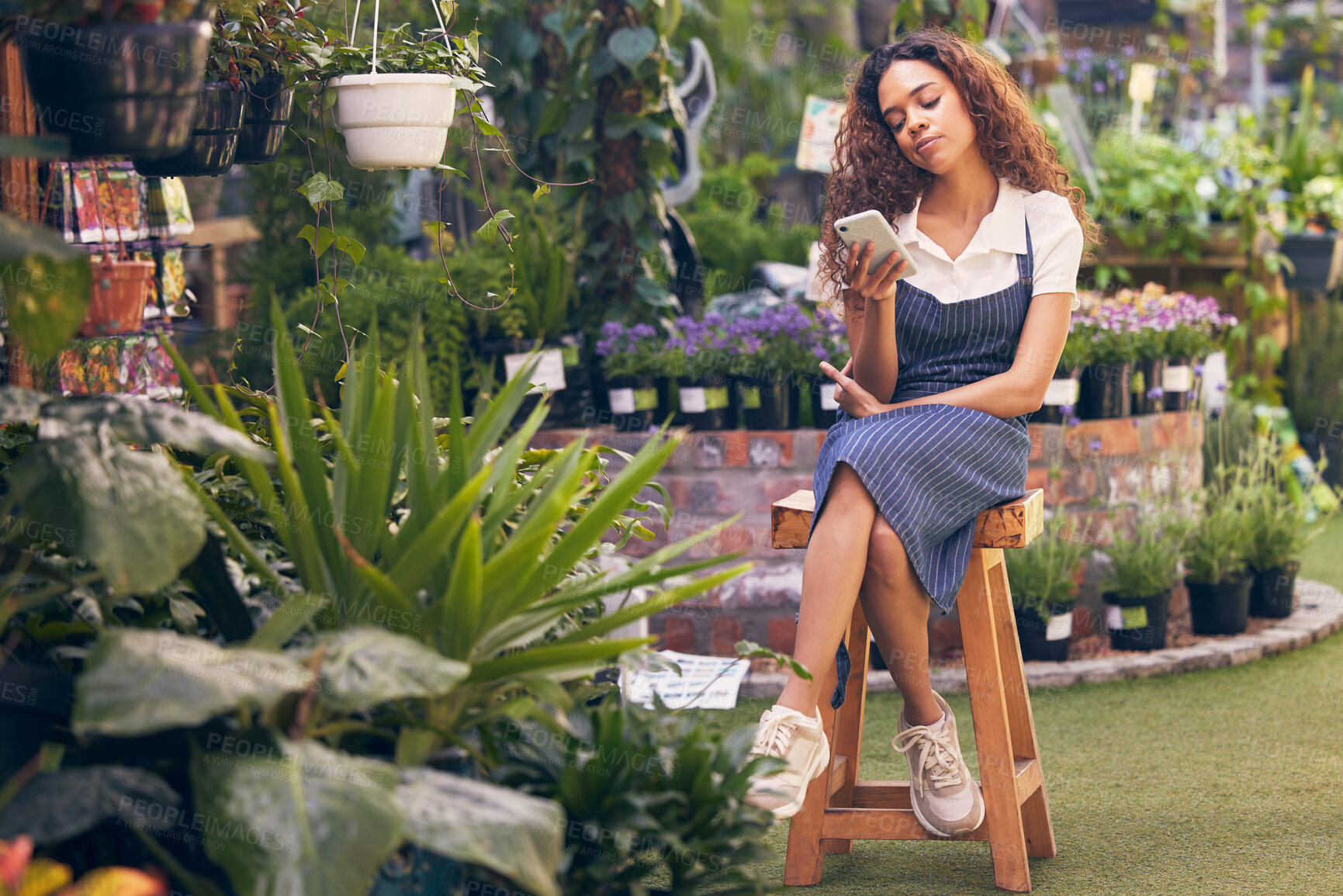 Buy stock photo Shot of a young florist using her smartphone to send a text