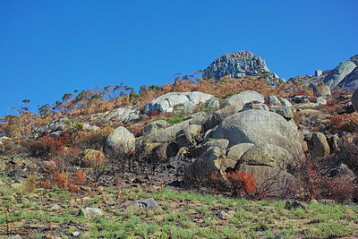 Buy stock photo Big mountain and large rocks in beautiful green and brown wild grass and trees with blue sky in the background. Landscape of a mountain and boulders out in nature on a sunny day with copy space