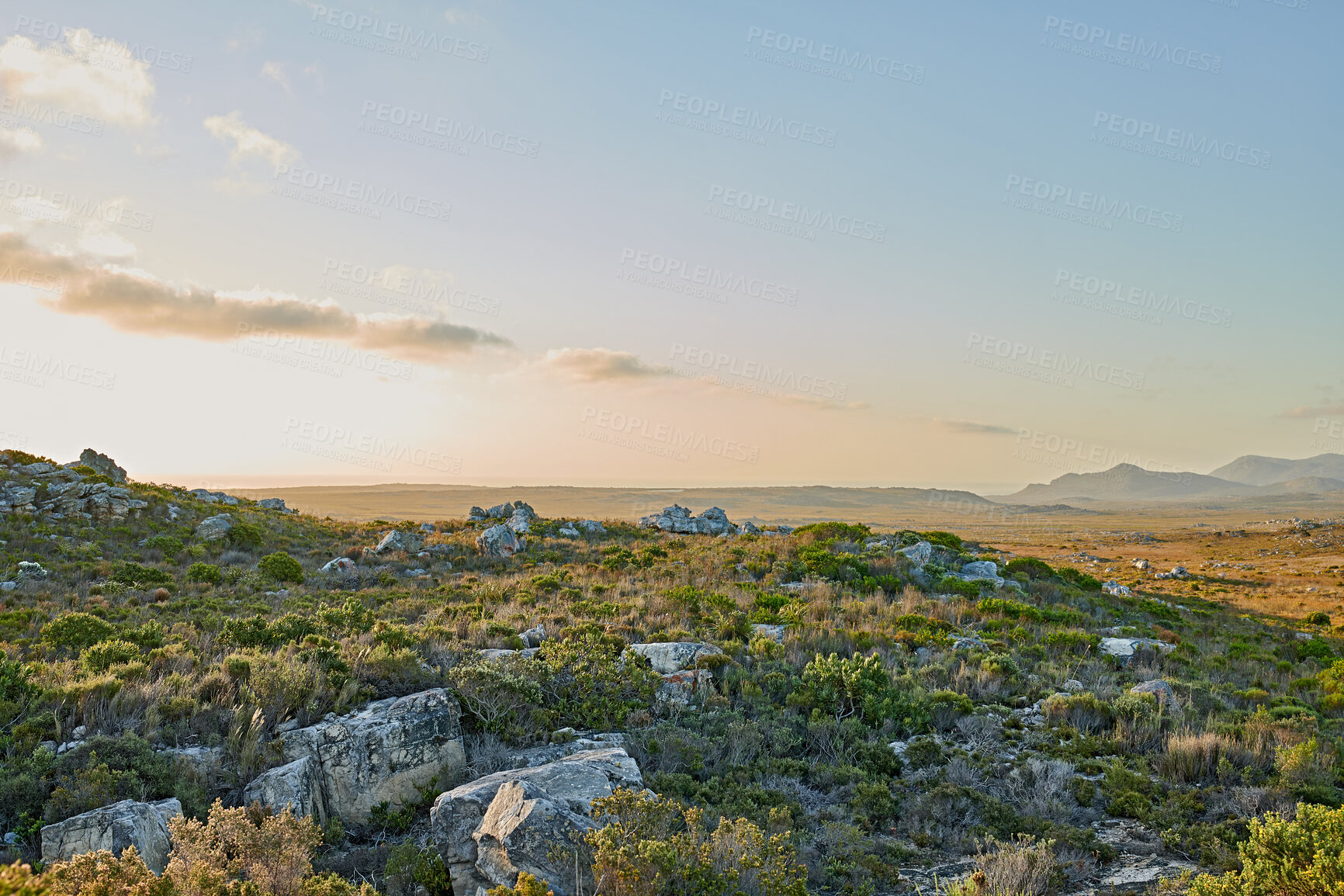 Buy stock photo The wilderness of Cape Point National Park, Western Cape, South Africa