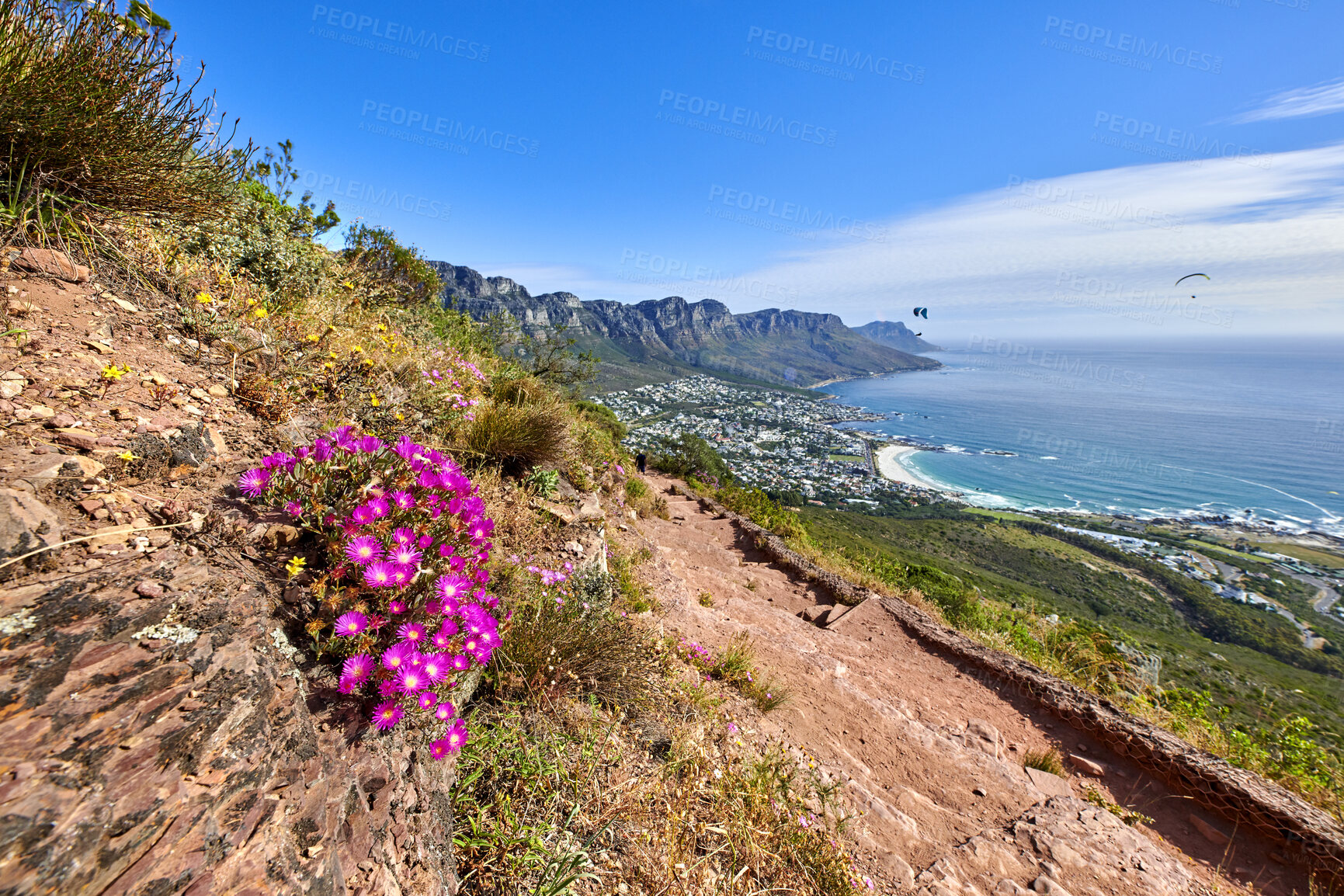 Buy stock photo Mountain trails on Lion's Head, Table Mountain National Park, Cape Town, South Africa