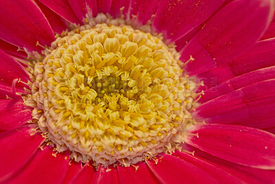 Buy stock photo A series of beautiful garden photos