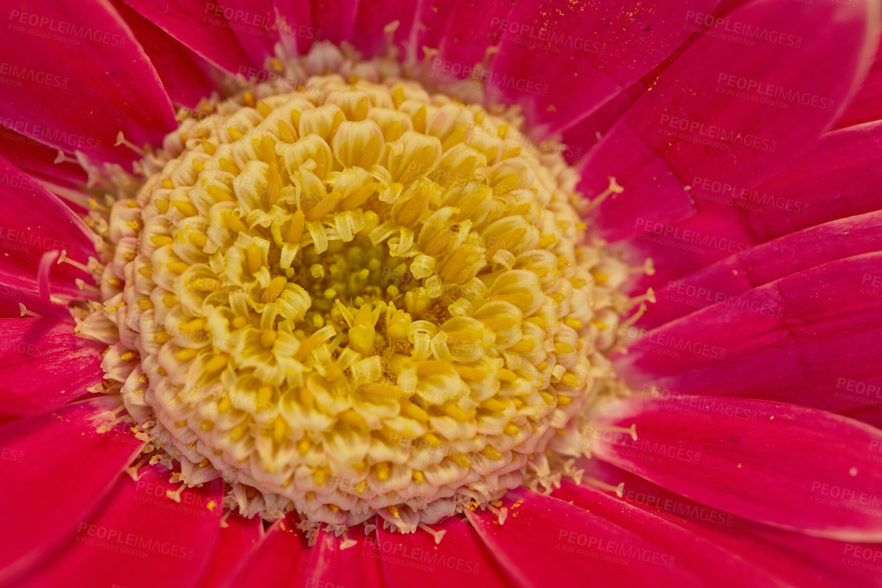 Buy stock photo A series of beautiful garden photos