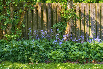 Buy stock photo A series of beautiful garden photos