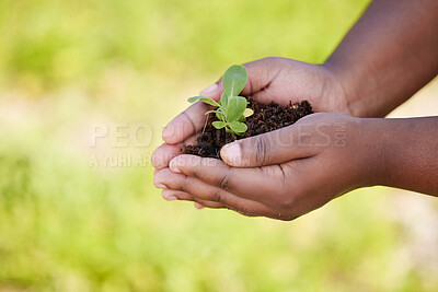 Buy stock photo Earth, agriculture and hands of farmer with plant for planting vegetables, harvest and ecosystem. Farming, sustainability and person with dirt, earth and sapling for environment, growth and nature