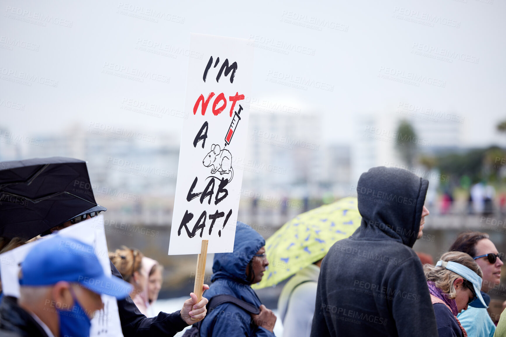 Buy stock photo Unrecognisable demonstrators holding up signs and protesting against the Covid 19 vaccine