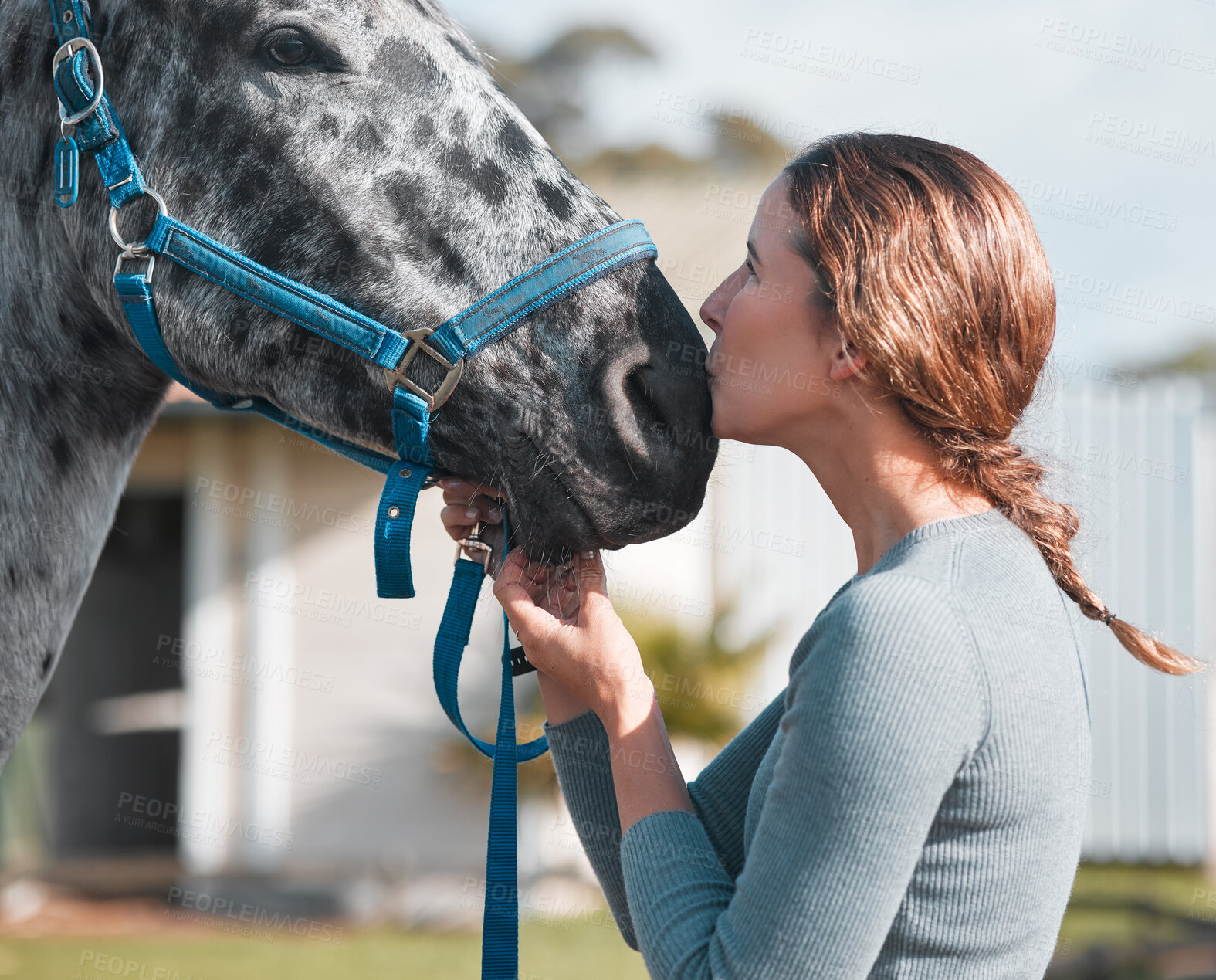 Buy stock photo Happy, woman and kiss horse on farm with love and support of pet in agriculture or countryside. Girl, care and embrace healthy animal on ranch and relax with peace at sanctuary for wellness in nature