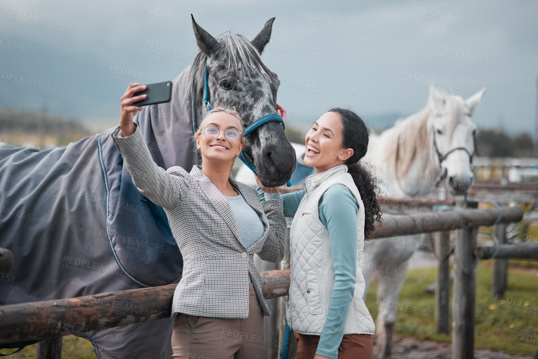 Buy stock photo Happy, selfie and people at farm with horse for equestrian, training or adventure in countryside. Women, pet and animals on ranch in profile picture for social media, post or memory of holiday