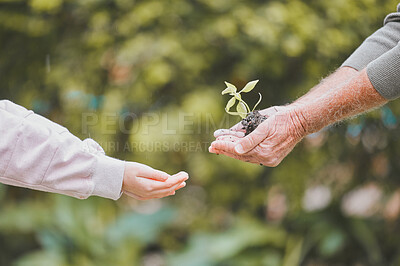 Buy stock photo Shot of a group of unrecognisable senior man and a little girl holding a plant growing out of soil