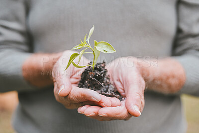 Buy stock photo Shot of a group of unrecognisable senior man holding a plant growing out of soil